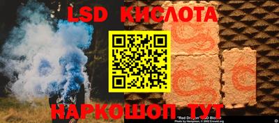 прущие грибы Дубна