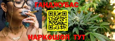 дмт Донской