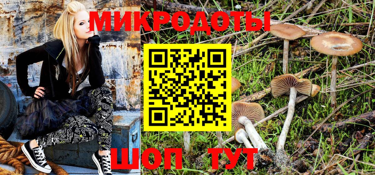 Курск  Галлюциногенные грибы Psilocybine cubensis  хочу   Вход с VPN  Галлюциногенные грибы Psilocybine cubensis 