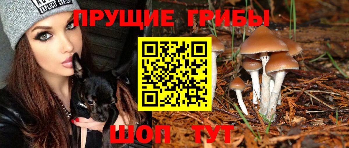 Псилоцибиновые грибы Magic Shrooms Курск